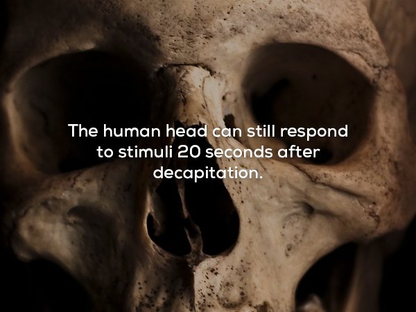 22 Strange Facts That Will Leave You Disturbed