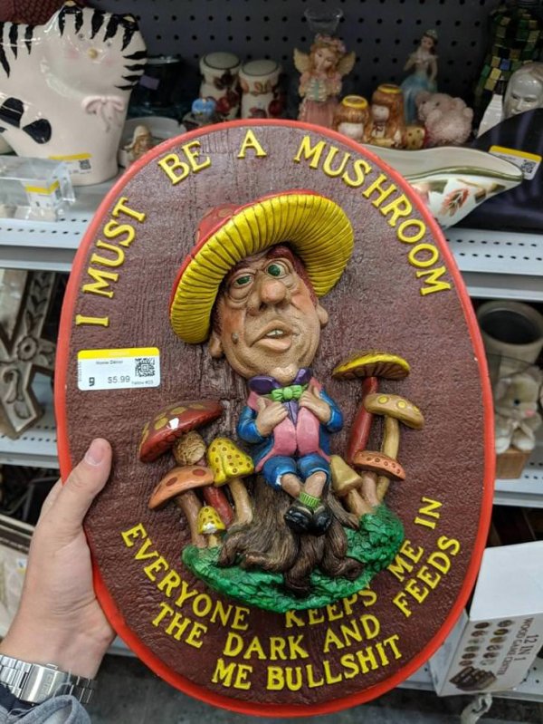 27 WTF things found at goodwill