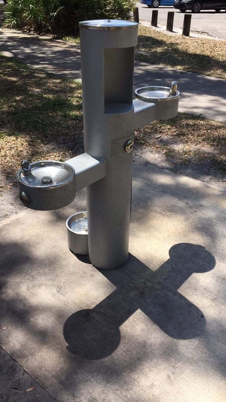 This single water fountain has a place for dogs, a short person, a tall person, and a place to fill your water bottle.