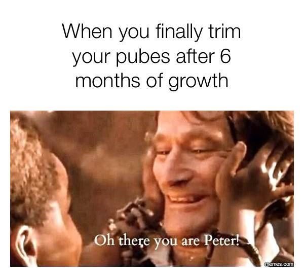 robin williams memes - When you finally trim your pubes after 6 months of growth Oh thee you are Peter! memes.com
