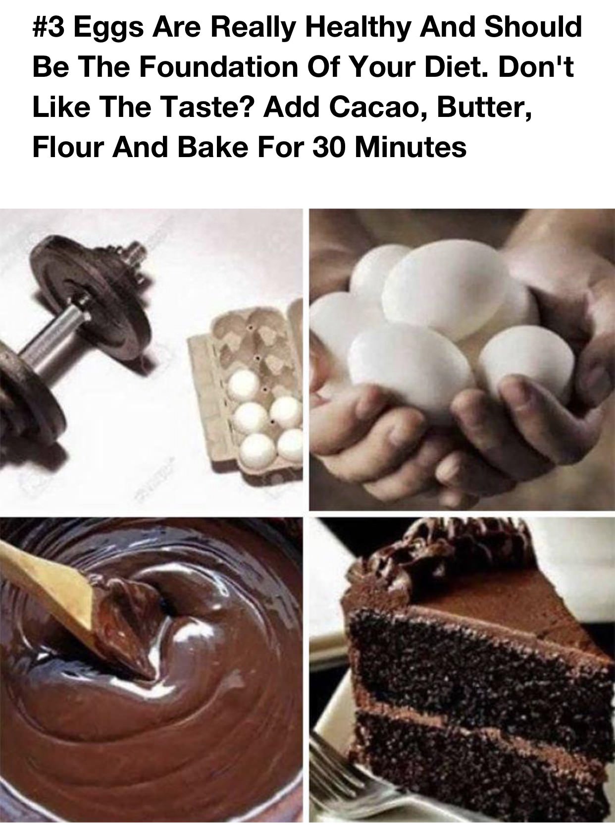 absurd life hack - Eggs Are Really Healthy And Should Be The Foundation Of Your Diet. Don't The Taste? Add Cacao, Butter, Flour And Bake For 30 Minutes