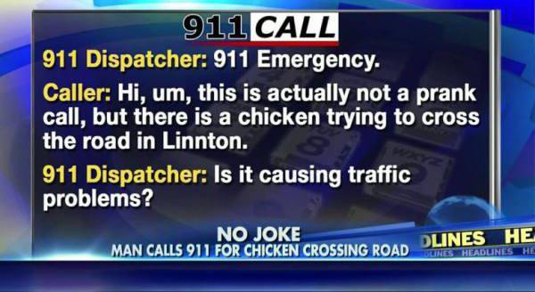 funny 911 calls - 911 Call 911 Dispatcher 911 Emergency. Caller Hi, um, this is actually not a prank call, but there is a chicken trying to cross the road in Linnton. 911 Dispatcher Is it causing traffic problems? No Joke Man Calls 911 For Chicken Crossin
