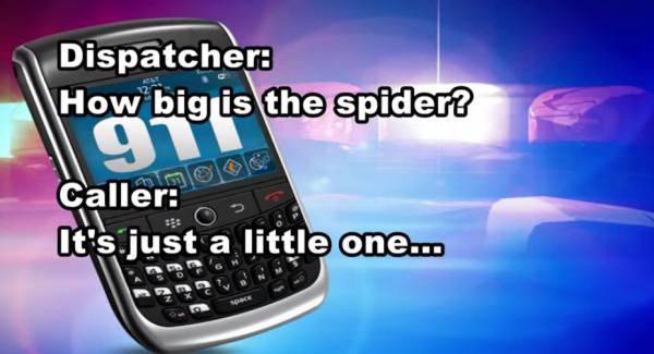 9-1-1 - Dispatcher How big is the spider? Callerno It's Os It's just a little one...