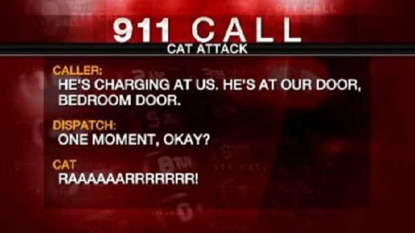 911 call cat attack - 911 Call Cat Attack Caller He'S Charging At Us. He'S At Our Door, Bedroom Door. Dispatch One Moment, Okay? Cat Raaaaaarrrrrrr!