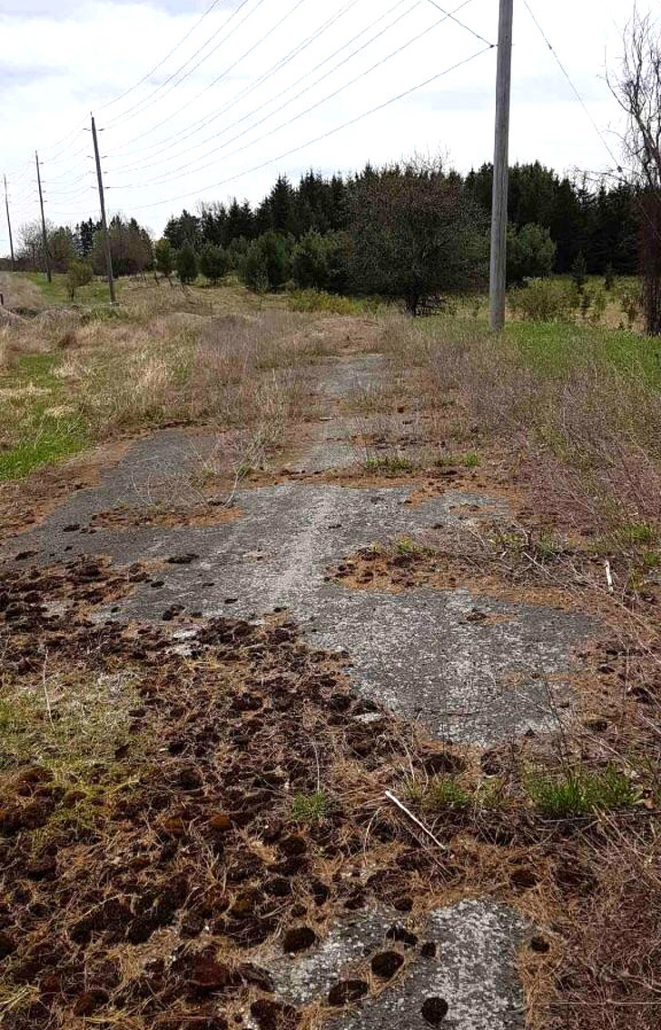 “Abandoned highway 50. I found a road.”