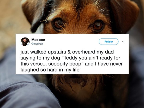 18 crazy things people overheard