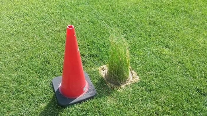 This cone hasn’t been moved in a while...