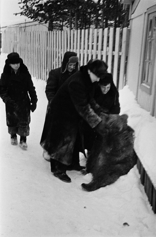 Kids playing with a bear in Ukta, Russia in 1954.
