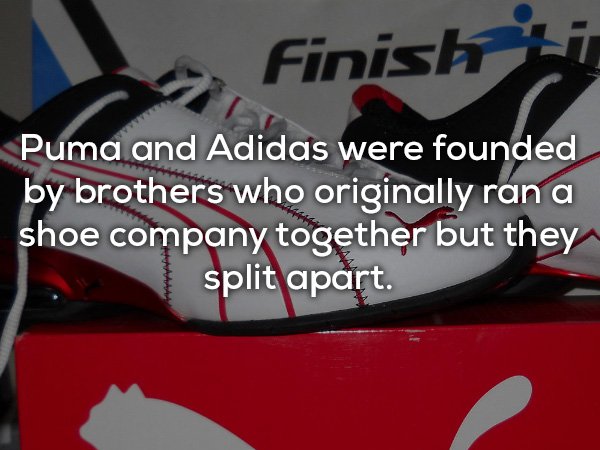 car - Finish Puma and Adidas were founded by brothers who originally ran a shoe company together but they split apart.