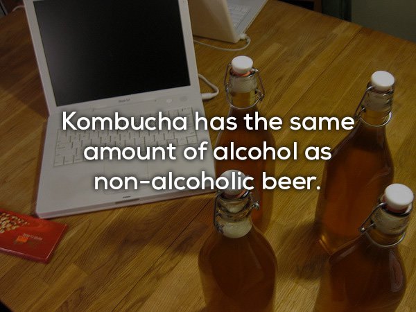 bowling pin - Kombucha has the same amount of alcohol as nonalcoholic beer.