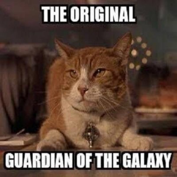 men in black cat - The Original Guardian Of The Galaxy