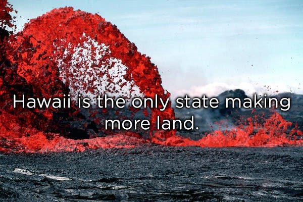 20 thoughts to think about in the shower