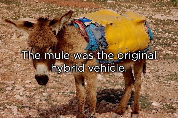 20 thoughts to think about in the shower