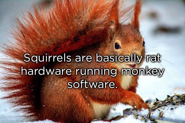 20 thoughts to think about in the shower