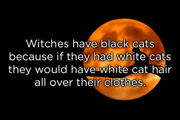 20 thoughts to think about in the shower