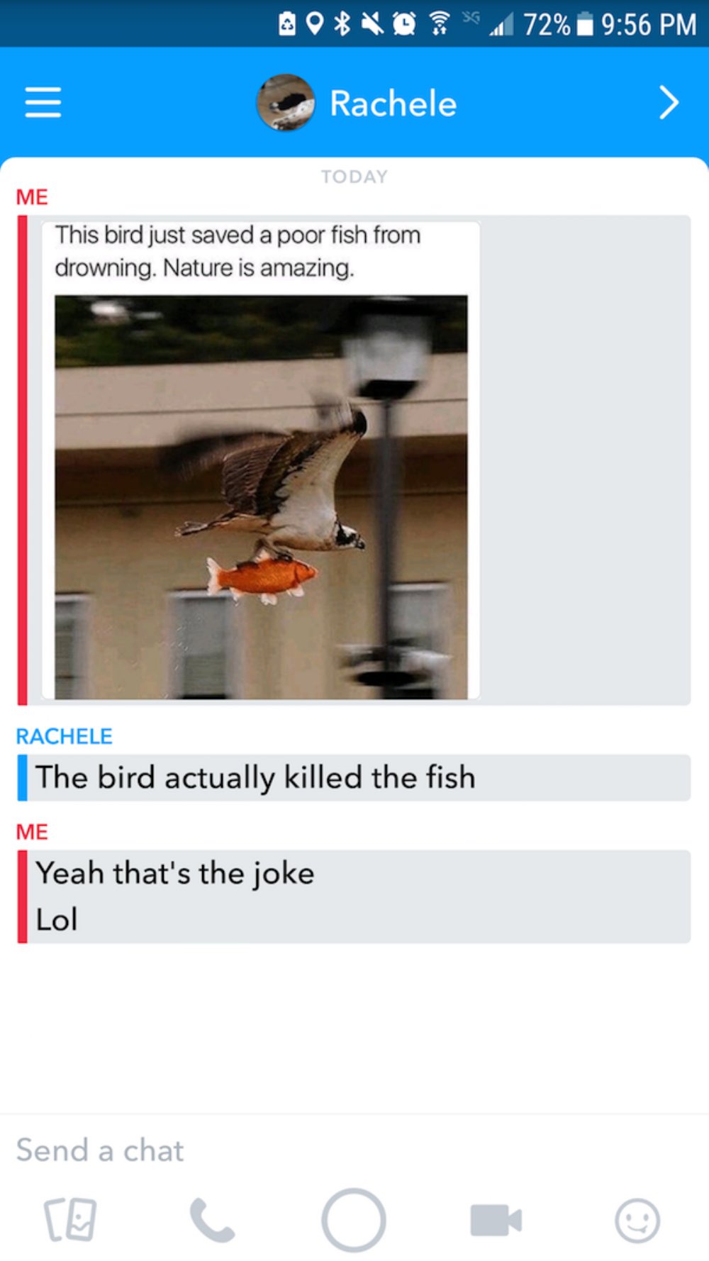 missed - bird saved that fish from drowning - 80 72% Rachele Today Me This bird just saved a poor fish from drowning. Nature is amazing. Rachele The bird actually killed the fish Me Yeah that's the joke Lol Send a chat