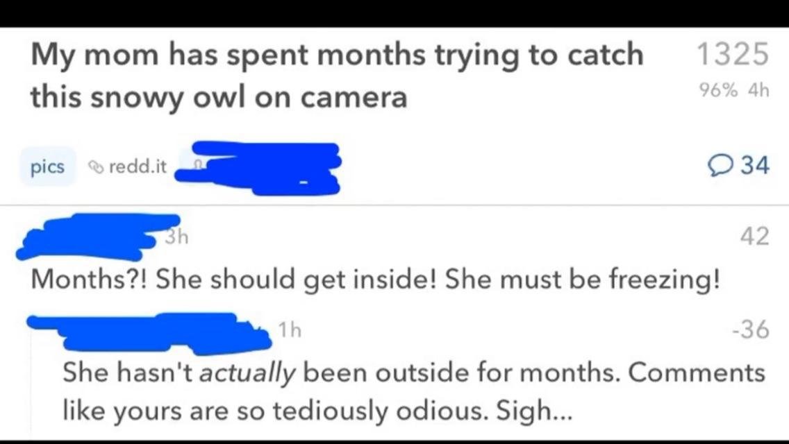 missed - nike quote - My mom has spent months trying to catch this snowy owl on camera 1325 96% 4h. pics redd.it 234 42 Months?! She should get inside! She must be freezing! 1h 36 She hasn't actually been outside for months. yours are so tediously odious.