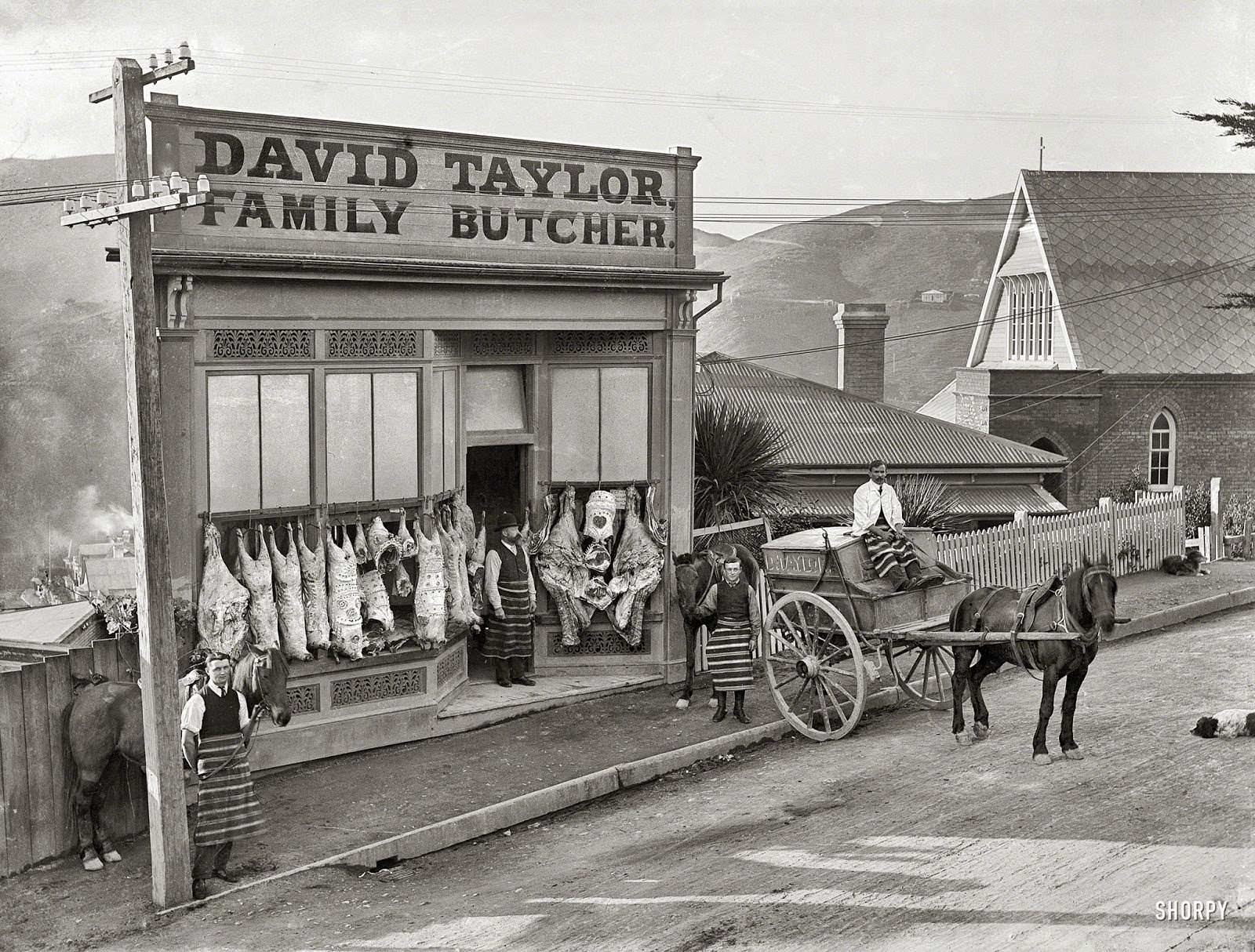 A butcher shop in Wellington, New Zealand in 1910.