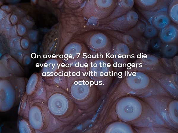 29 Disturbing Facts That Will Leave You Feeling Unsettled