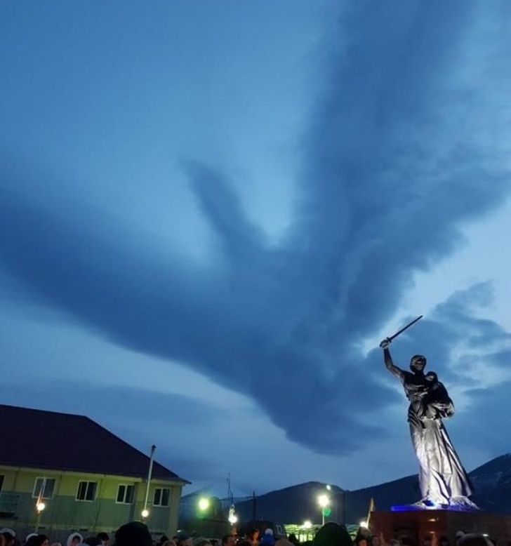 A huge bird in the sky of Siberia