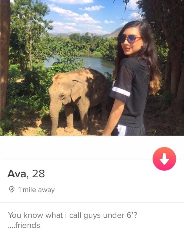 tinderphoto caption - Ava, 28 1 mile away You know what i call guys under 6?? ....friends
