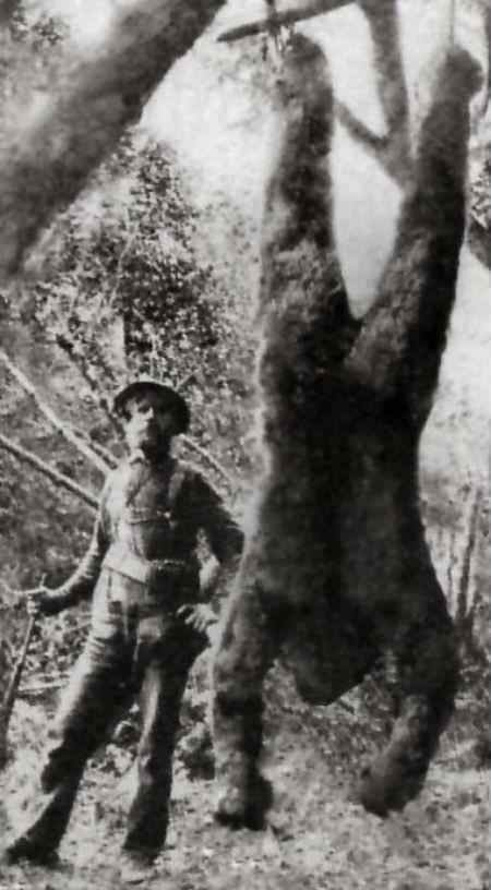 A man in the US who claimed he killed bigfoot with this picture in 1967.