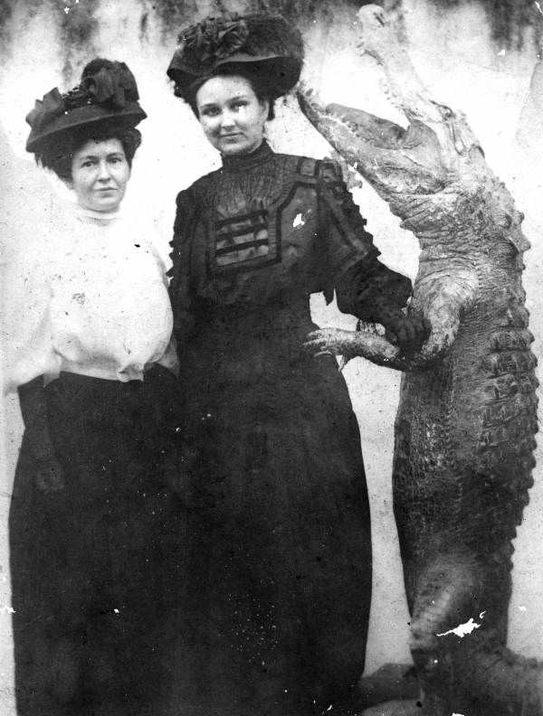 Women pose with an alligator killed in Florida, US in 1904.