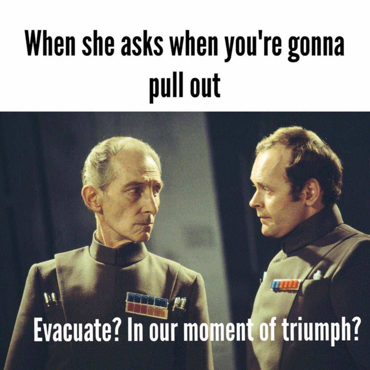 star wars memes sex - When she asks when you're gonna pull out Evacuate? In our moment of triumph?