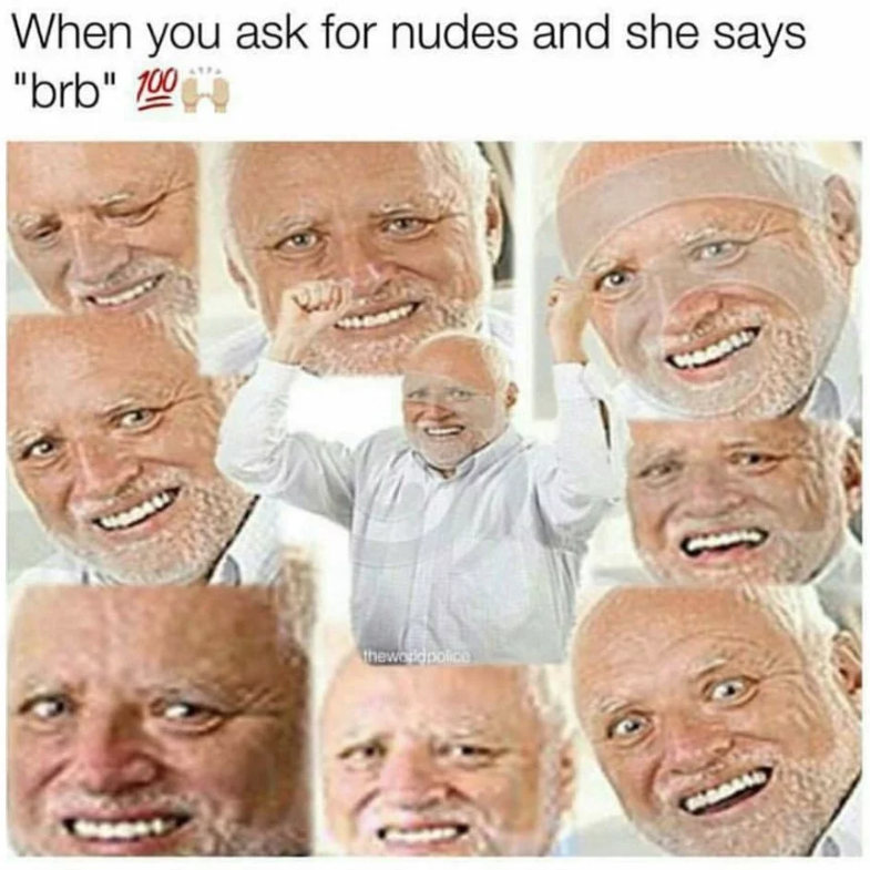 sex memes dirty - When you ask for nudes and she says "brb" 100