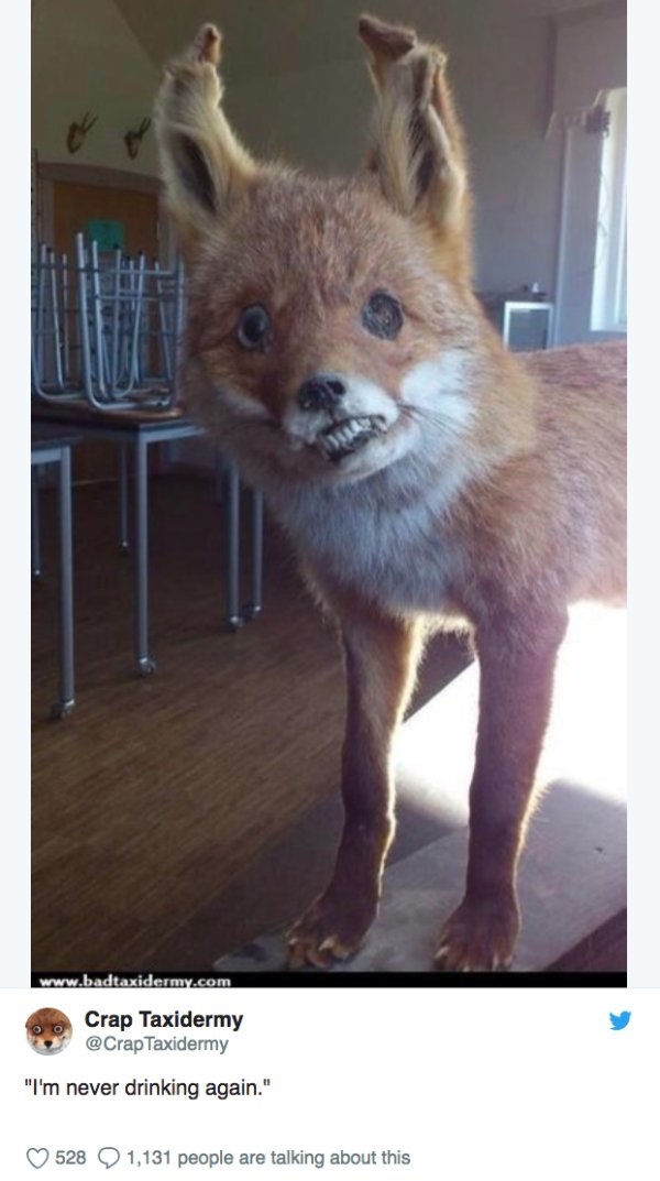 31 Taxidermy Fails That Will Knock the Stuffing Out of You