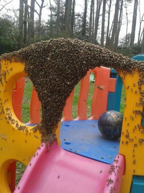 36 pics filled with NOPE