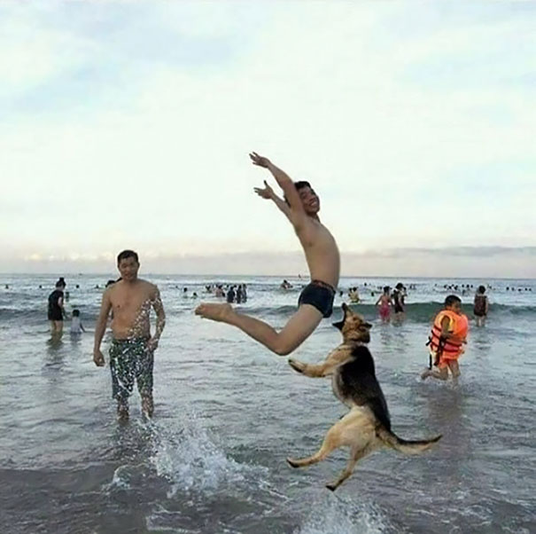 25 perfectly timed photos