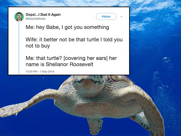 26 tweets that describe married life