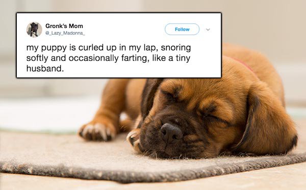 26 tweets that describe married life