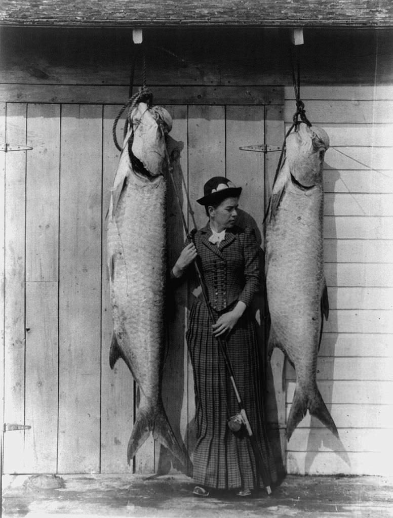 A female fisherman with 2 tarpons caught off Florida, US in 1891.