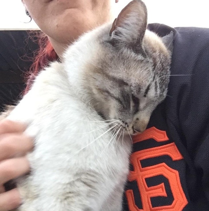 “Went to take the trash out and saw this little guy. He came running up to me, so I bent down to pet him and he jumped in my lap and did this. Melted my heart!”