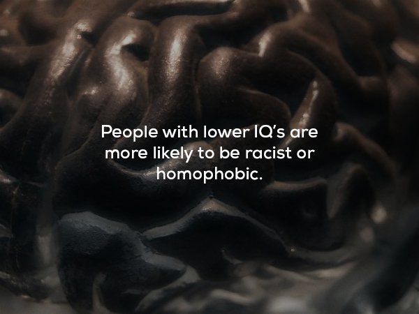 creepy fact iphone - People with lower Iq's are more ly to be racist or homophobic.