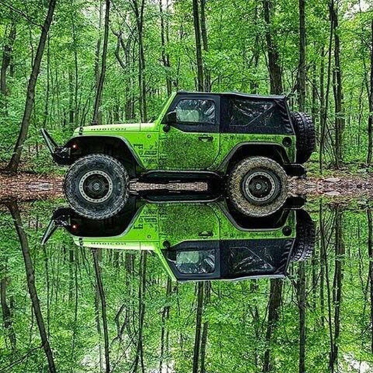 The way the tires reflect off the water