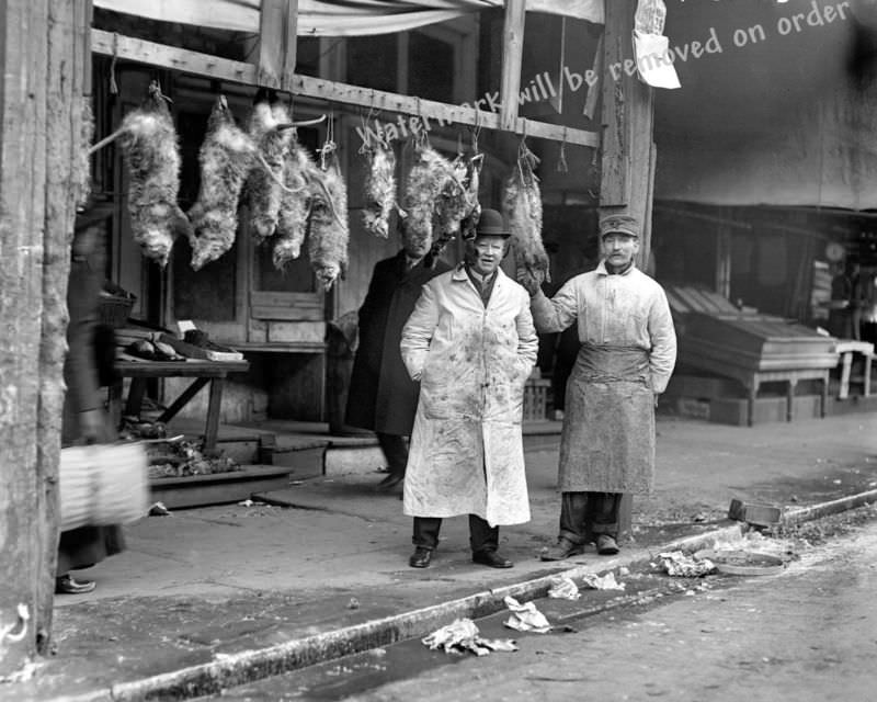 A butcher shop selling possums in NYC, US in 1916.
