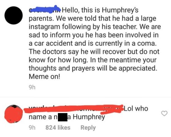 peer pressure quotes - Ir Hello, this is Humphrey's parents. We were told that he had a large instagram ing by his teacher. We are sad to inform you he has been involved in a car accident and is currently in a coma. The doctors say he will recover but do 