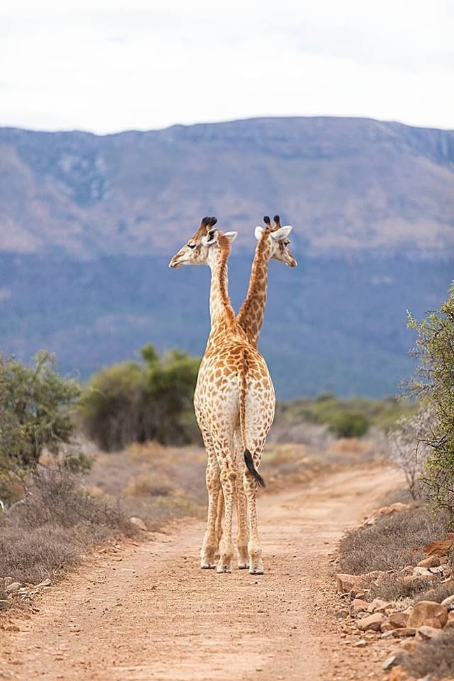 Africa: no photoshop needed