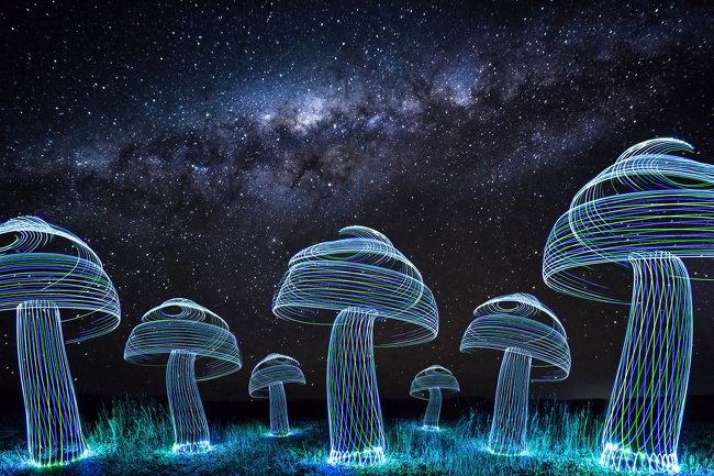 “I used some LED lights to spin a forest of mushrooms under the Milky Way.”