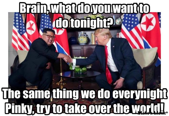 Trump meme with Kim museum of anthropology, raven and the first men sculpture - Brain whatdoyou want to . do tonight? The same thing we do everynight Pinky, try to take over the world..