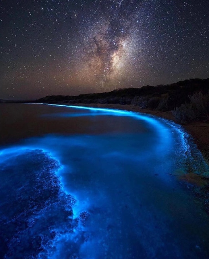 gokarna beach bioluminescent