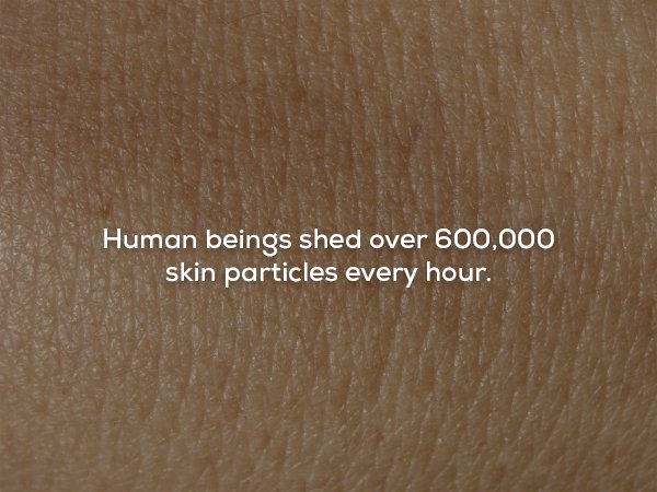 wtf facts - close up - Human beings shed over 600,000 skin particles every hour.