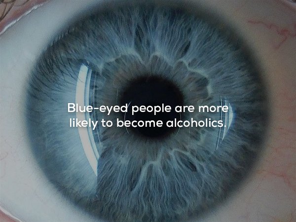 wtf facts - iridology constitutions - Blueeyed people are more ly to become alcoholics.