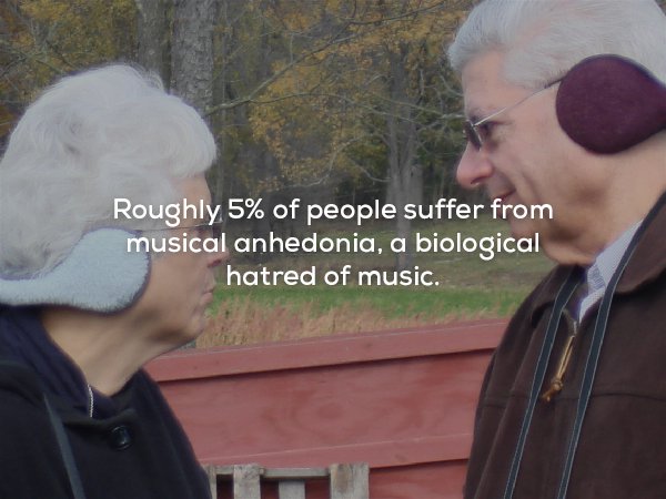 wtf facts - Roughly 5% of people suffer from musical anhedonia, a biological hatred of music.