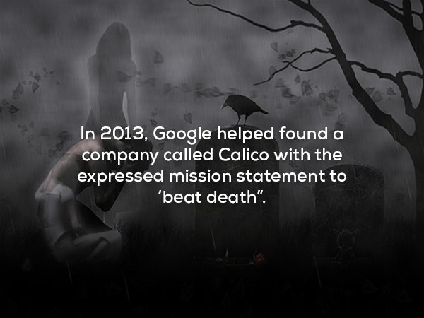 wtf facts - darkness - In 2013, Google helped found a company called Calico with the expressed mission statement to 'beat death".