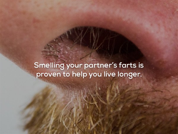 wtf facts - Smelling your partner's farts is proven to help you live longer.