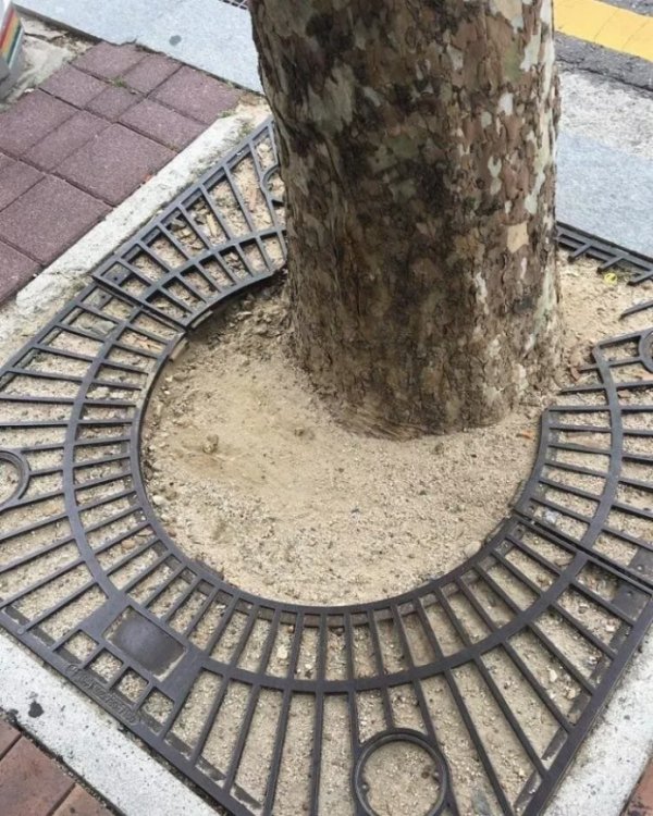 48 pics filled with fail